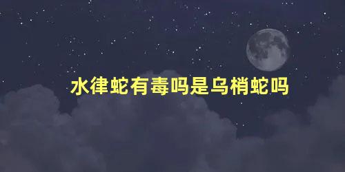水律蛇有毒吗是乌梢蛇吗