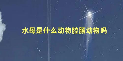 水母是什么动物腔肠动物吗
