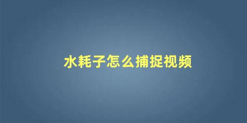 水耗子怎么捕捉视频