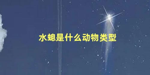 水螅是什么动物类型