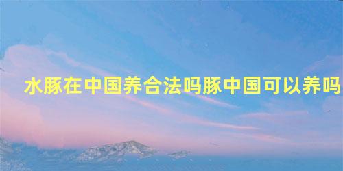 水豚在中国养合法吗豚中国可以养吗