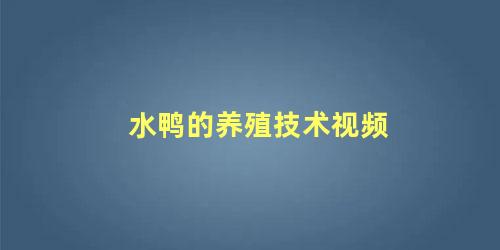 水鸭的养殖技术视频
