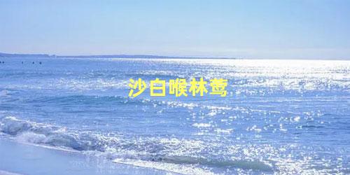 沙白喉林莺