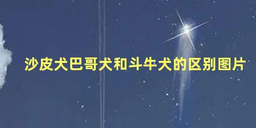 沙皮犬巴哥犬和斗牛犬的区别图片