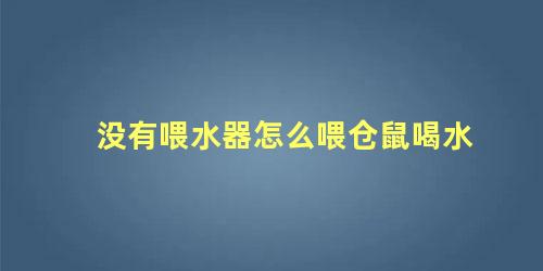 没有喂水器怎么喂仓鼠喝水