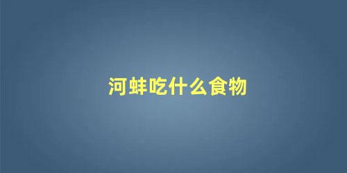 河蚌吃什么食物