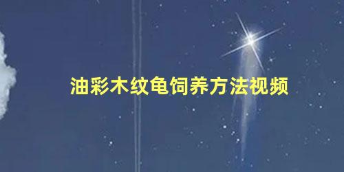 油彩木纹龟饲养方法视频