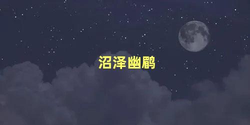 沼泽幽鹛