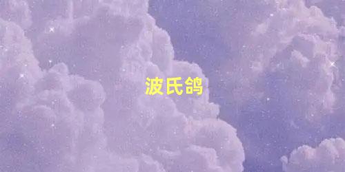 波氏鸽