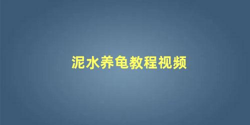 泥水养龟教程视频