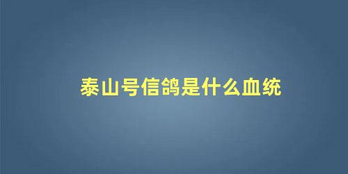泰山号信鸽是什么血统