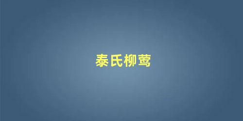 泰氏柳莺