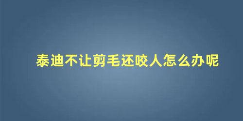 泰迪不让剪毛还咬人怎么办呢