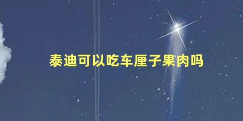 泰迪可以吃车厘子果肉吗