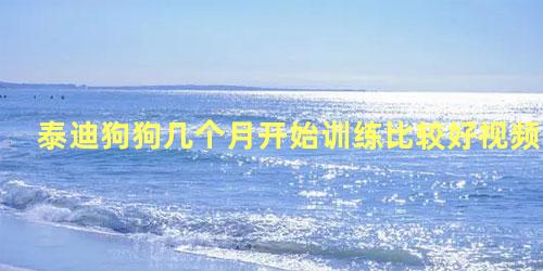 泰迪狗狗几个月开始训练比较好视频
