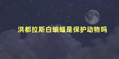 洪都拉斯白蝙蝠是保护动物吗