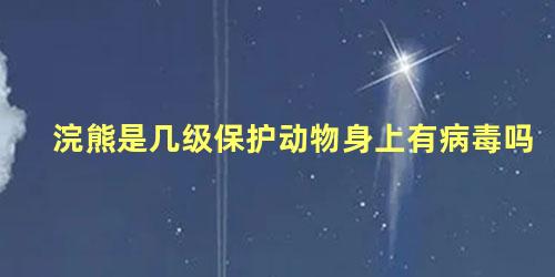 浣熊是几级保护动物身上有病毒吗