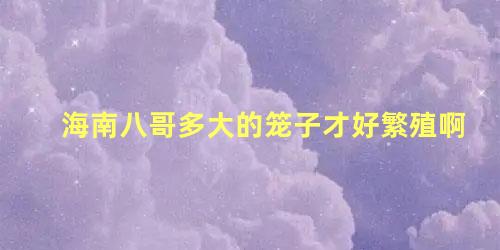 海南八哥多大的笼子才好繁殖啊