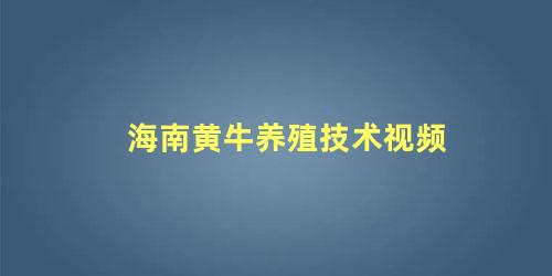 海南黄牛养殖技术视频