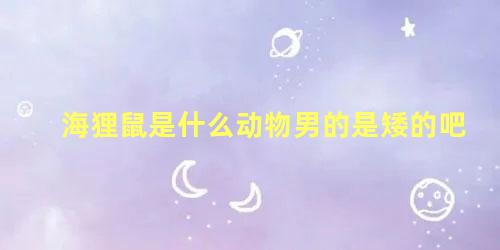海狸鼠是什么动物男的是矮的吧