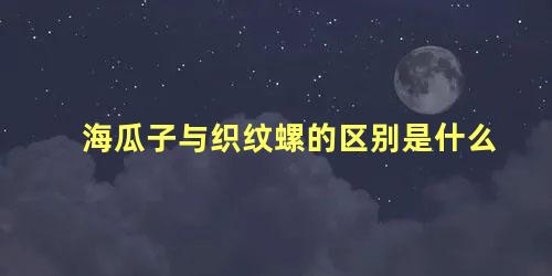 海瓜子与织纹螺的区别是什么