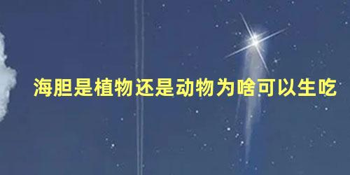 海胆是植物还是动物为啥可以生吃