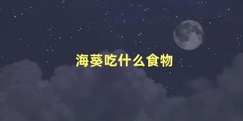 海葵吃什么食物