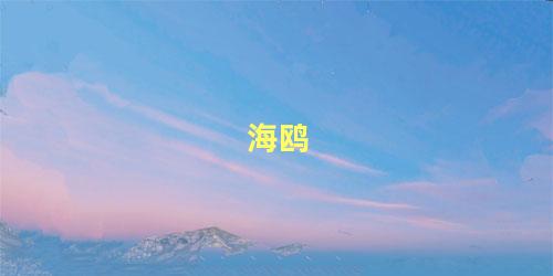 海鸥