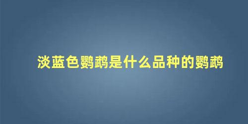 淡蓝色鹦鹉是什么品种的鹦鹉