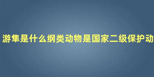 游隼是什么纲类动物是国家二级保护动物