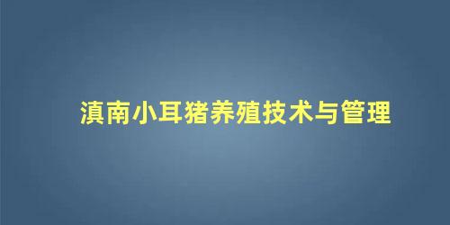 滇南小耳猪养殖技术与管理