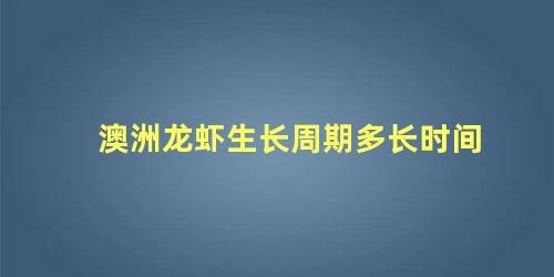 澳洲龙虾生长周期多长时间