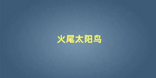 火尾太阳鸟