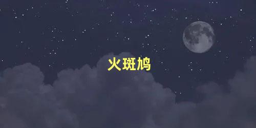 火斑鸠