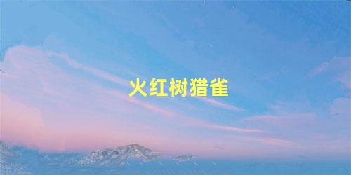 火红树猎雀