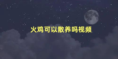 火鸡可以散养吗视频