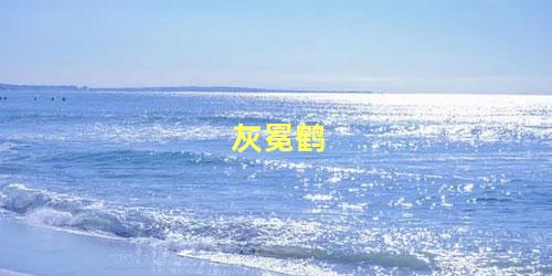 灰冕鹤