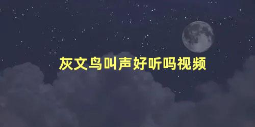 灰文鸟叫声好听吗视频