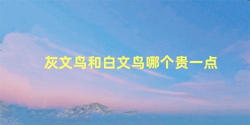 灰文鸟和白文鸟哪个贵一点
