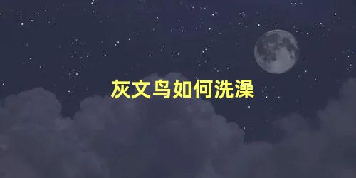 灰文鸟如何洗澡