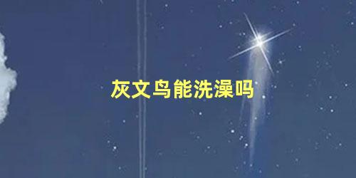 灰文鸟能洗澡吗