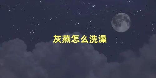灰燕怎么洗澡
