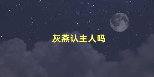 灰燕认主人吗