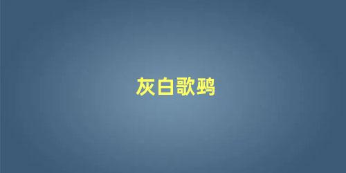灰白歌鹀