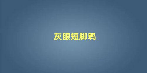 灰眼短脚鹎