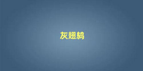 灰翅鸫