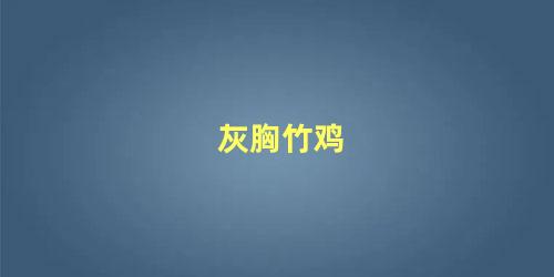 灰胸竹鸡