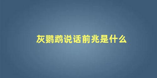 灰鹦鹉说话前兆是什么