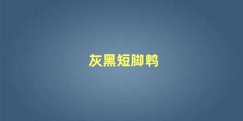 灰黑短脚鹎