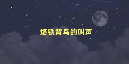 烙铁背鸟的叫声